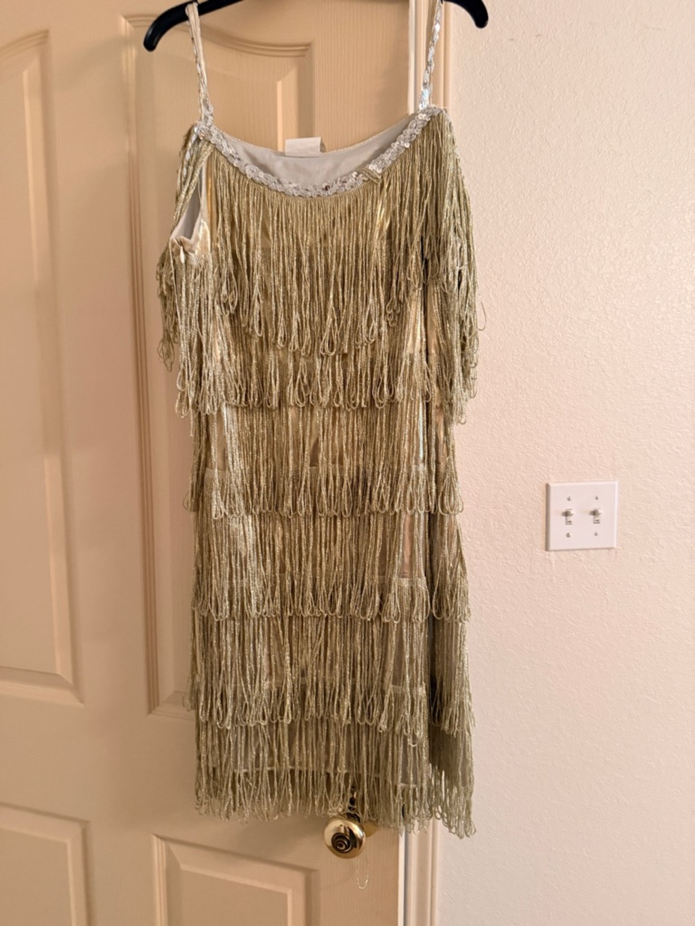 1920s Flapper Costume Champagne Fringe Dress + Wig + Accessories Set